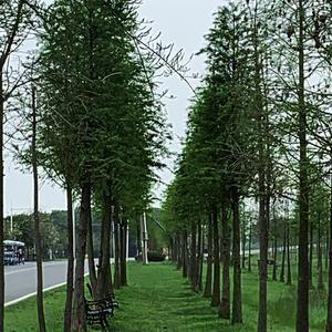 说散就散（翻唱）