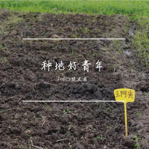 种地好青年