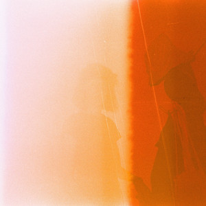 ג׳ונגל מבטון