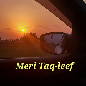 Meri Taq Leef