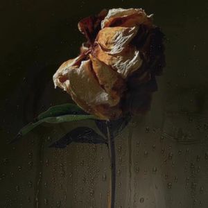 什么时候能够放过我