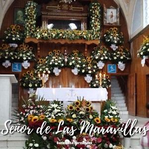 Señor de Las Maravillas