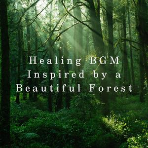 Peaceful Woodland Refuge