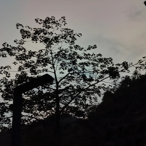 我败在那个夏天(Prod.Siren&EVO MUSIC)