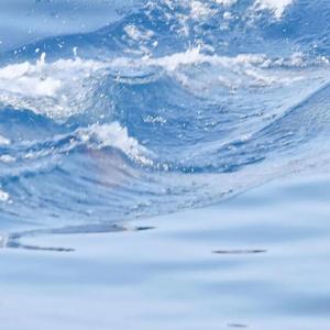 等你的日子不值一提