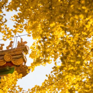 阿里斯顿-RJ291279（阿里斯顿 remix）