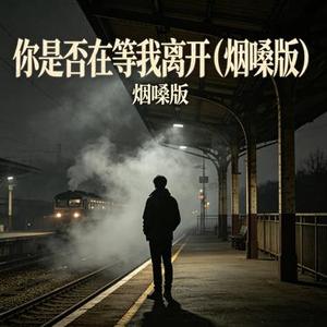 你是否在等我离开 (烟嗓版) (Remix)