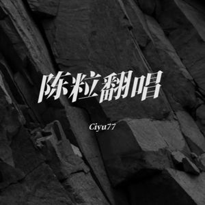 易燃易爆炸（Cover陈粒）