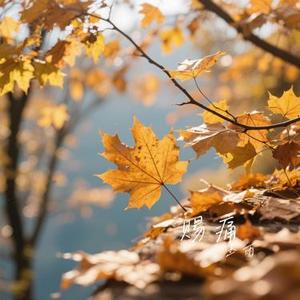 祝我们各自安好 (Cover 洋澜一)