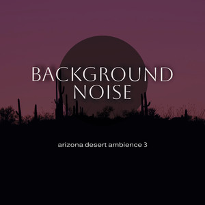 Arizona Desert Ambience, Pt. 14