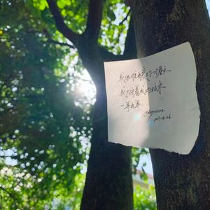 如果这个就是爱情(热门弹唱)