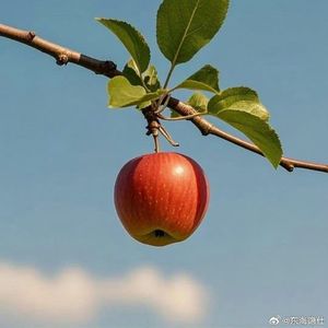 温柔和可爱 伴奏