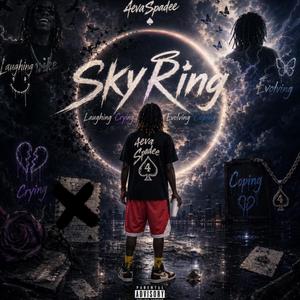 Skyring