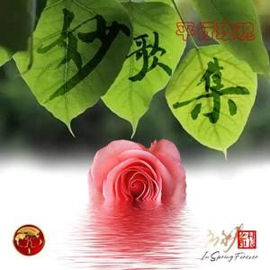 平行玫瑰1