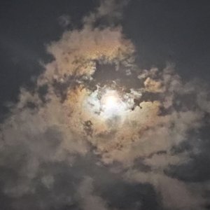 还是老歌最感动（翻自陈奂仁）