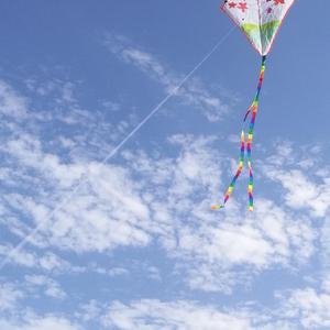 我至死怀念的时光