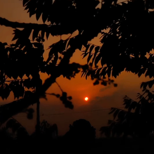 Evening