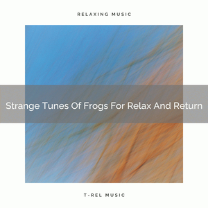 The Moment The Rain Composes Songs Dedicated To Your Sleep And Chillout