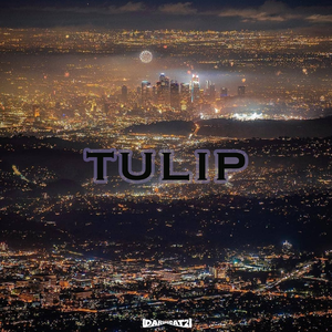 Free Chill Boombap type beat “Tulip”