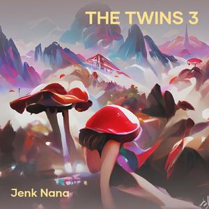 The Twins 3