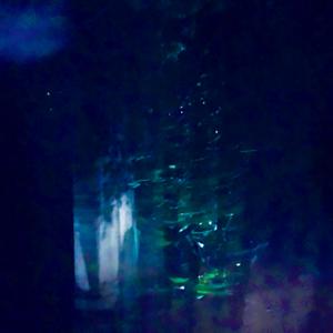 Hydrolyzed In The Water Body