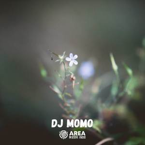 Oh Sayang Ngana Ini Bagaimana x Mo Cucu Dimana Ada Dua Lobang