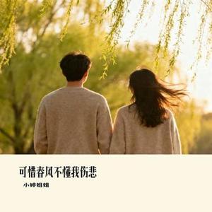 可惜春风不懂我伤悲 (Cover 范贵宾)
