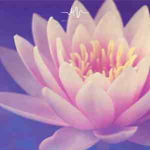 梦中客 (静心打坐)