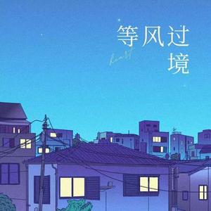 等风过境 (DJ版)
