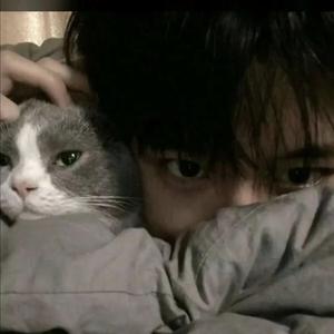 杀死那个石家庄人