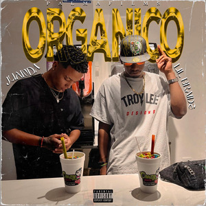 Orgánico