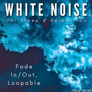 White Noise: Kitchen Exhaust Hood on High - Loopable