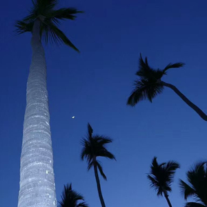 DJ Snake-Let Me Love You（凌霄 / Y.Fan remix）