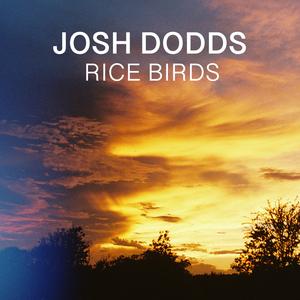 Rice Birds