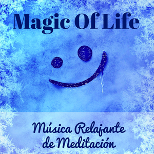 Meditation Music (Chakra Meditation)