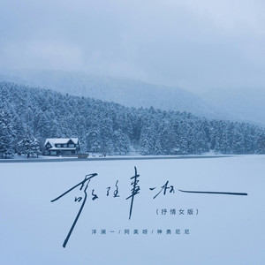 敬往事一杯 (抒情女版)