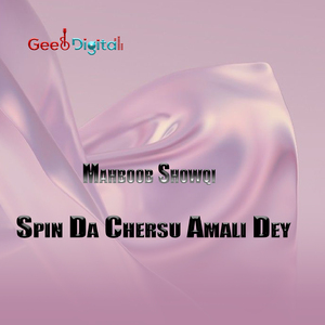 Spin Da Chersu Amali Dey