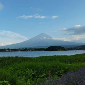 Look back at(回首往事）