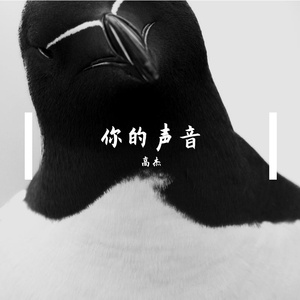 你的声音