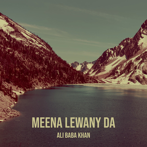 Meena Lewany Da