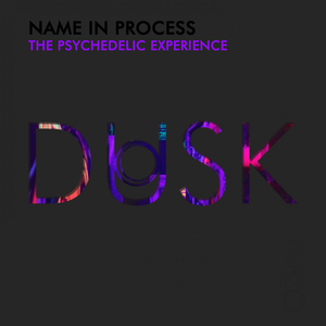 The Psychedelic Experience (Original Mix)