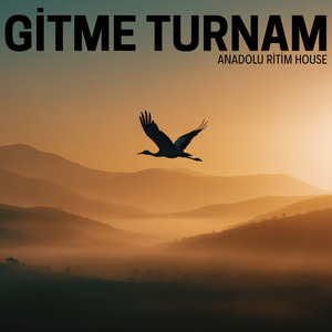 Gitme Turnam