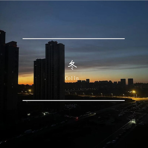 紫罗兰盛开