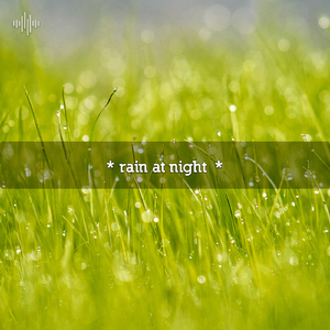 Rain Hitting The Car