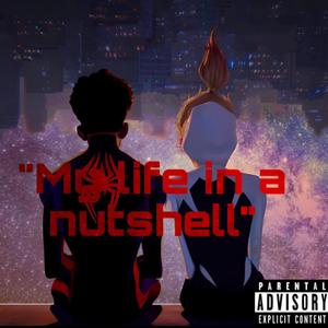 My life in a nutshell!