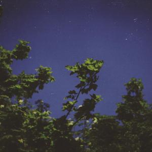 steez (feat. Simon Davidson)