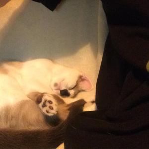 foreva interlude (feat. 34n)