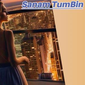 Sanam TumBin