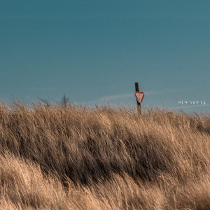 위로가 필요한 오후