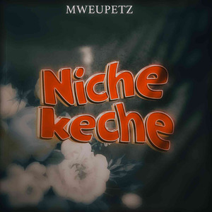 Nichekeche